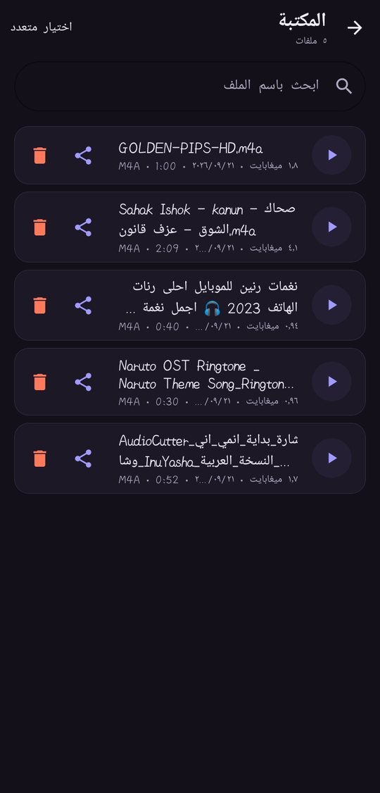 مكتبة الملفات المحوّلة داخل التطبيق
